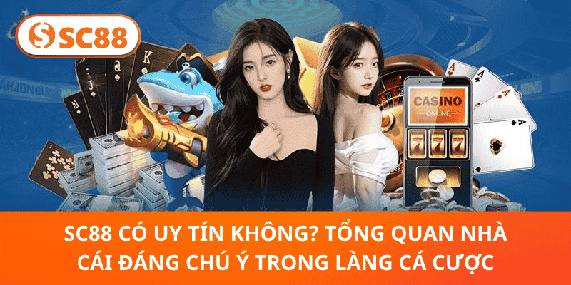SC88 Có Uy Tín Không? Tổng Quan Nhà Cái Đáng Chú Ý Trong Làng Cá Cược